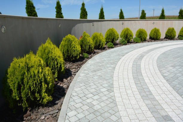 Best Professional Driveway Pavers  in California, MO